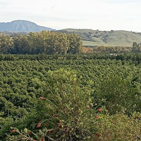 Los Dos Cedros San Pablo Екстер'єр фото